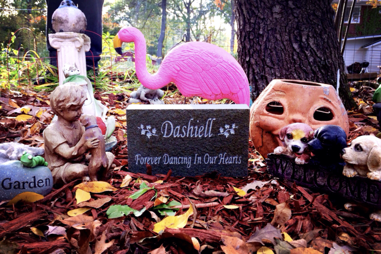 Dashiell Codd grave marker
